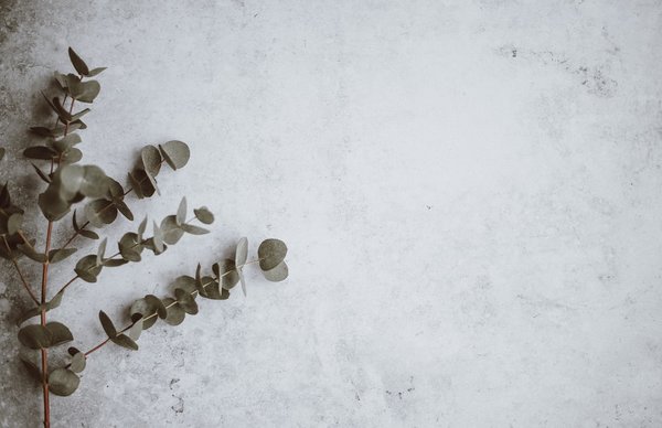 Comment enlever la voix quand on écrit un message ?